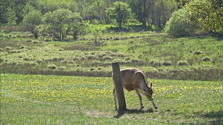 Fjern jordskatten fra naturarealer