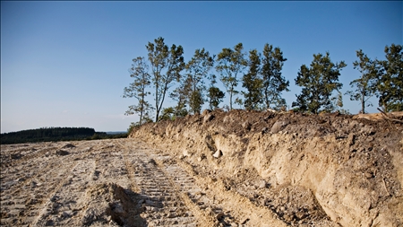 DMU: Vi kender stadig ikke naturens tilstand