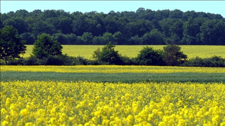 Natur- og Landbrugskommissionen er lige på trapperne