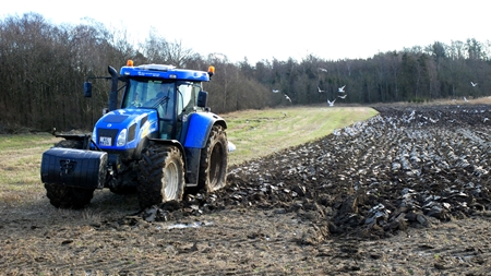 Krystalkuglen viser udvandet landbrugsreform