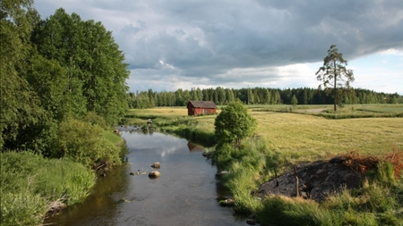 Forskere: Adgang skader ikke biodiversitet