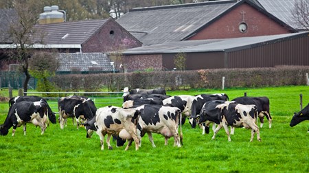 Mange ønsker til grønne landbrugs-millioner