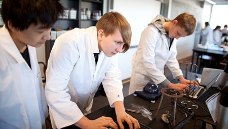 På det almene gymnasium var der sidste år 209 forskellige studieretninger, viser nye tal fra Undervisningsministeriet.