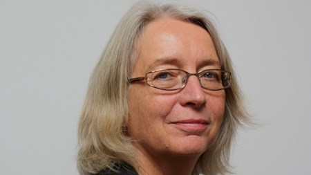 Miljømyndighedernes rolle reduceres med det nye direktiv. Det mener Ellen Margrethe Basse, professor, dr. jur. Aarhus Universitet.