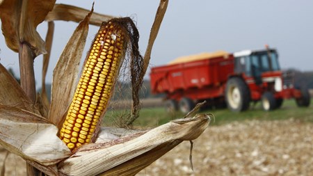 Vejen banet for nationale forbud mod GMO