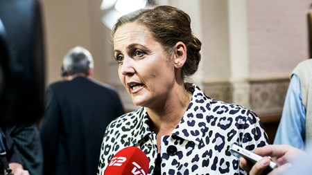 I friere rammer uden for regeringen og med en stærk, ny formand går det overraskende godt i SF et år efter den drabelige regeringsudtrædelse. Partiet er landet igen og har fundet sine ben, lyder det fra fremtrædende baglands- og folketingsmedlemmer.