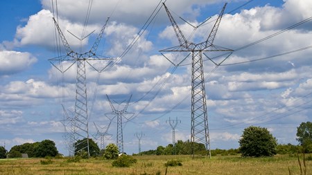 Vind og andre former for vedvarende energi sætter i stigende grad prisen på el, vurderer Dansk Energi.