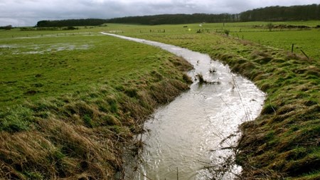 Vismænd: Dyrt at udskyde vandindsats