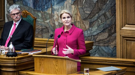 Helle Thorning-Schmidt (S) er langt fra den eneste i gruppen, der har studeret statskundskab. Mogens Lykketoft er til gengæld den eneste, der har studeret økonomi. 