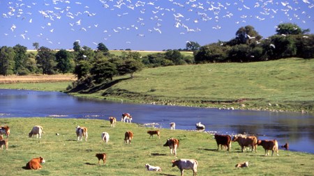 Sådan fordeles landdistriktsmidlerne i ny aftale