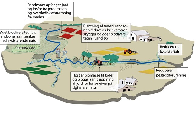 Lokal regulering af natur og miljø giver størst effekt for pengene