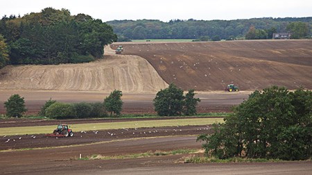 Ny hjælpepakke skal hjælpe landbruget