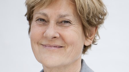 Kommissionens energiudspil mangler klare mål, skriver Anne Grete Holmsgaard, direktør i Biorefining Alliance.