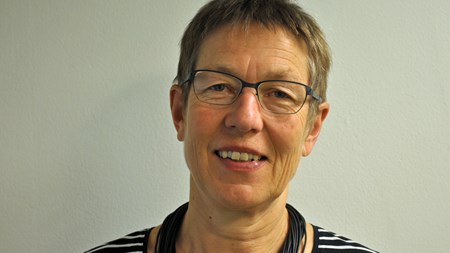 Skal vi have et grønt og velfungerende transportsystem, er der brug for reformer af bilbeskatningen og bedre organisering af transportsektoren, skriver chefkonsulent i Concito Susanne Krawack. 