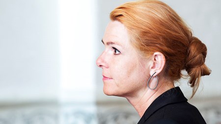 Inger Støjbergs forslag om at genåbne 2500 sager om statsborgerskab møder kritik fra begge sider af Folketinget.