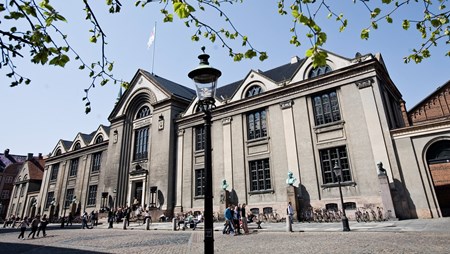 DF: Universiteter skal blande sig uden om asylpolitik