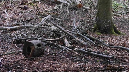 Wium-Andersen: Naturstyrelsen ønsker ikke debatten