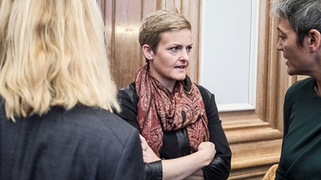 Socialordfører Pernille Rosenkrantz-Theil (S) er blandt deltagerne, når partierne bag satspuljen tirsdag skal forhandle midlerne til socialområdet på plads. Med til bordet tager hun et ønske at satse mere på den såkaldte Herning-model. 