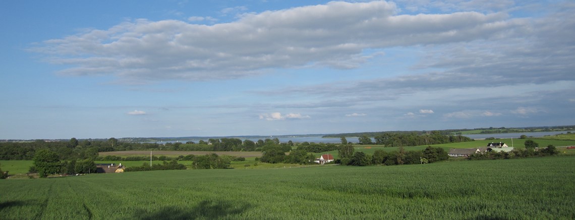 I kystnærhedszonen er det krav for virksomhederne, at de har et ophæng i landbruget eller fiskeriet.