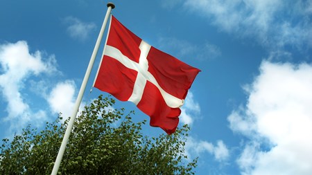 Cepos: Danmark er det nye Sverige