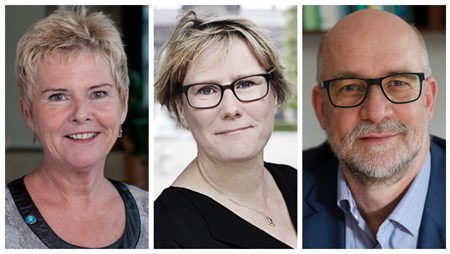 Retsforbeholdet spænder i dag ben for både danske lønmodtagerorganisationer og danske virksomheder på samme tid, skriver Lizette Risgaard, Bente Sorgenfrey og Finn R. Larsen, formænd for henholdsvis LO, FTF og Akademikerne. 