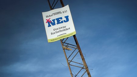 Elberth: Det bliver et digitalt nej ved EU-afstemning