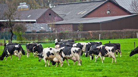 Regeringen vil med sin vækstplan skabe udvikling i hele landet – blandt andet skal landbruget have en håndsrækning.  