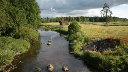 Medlem af KTC’s faggruppe for natur-og overfladevand, Bjarne Bringedal Svendsen sætter mærkater på de sande og falske udsagn i debatten om vandløb.