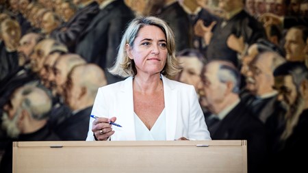 Det både mærkeligste og bedste, som er sket for socialdemokraten Pernille Schnoor i 2015, er, at hun blev valgt til Folketinget. 