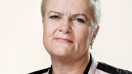 Liselott Blixt (DF) skyder tilbage på de organisationer, som kritiserer hendes ageren i HPV-sagen.