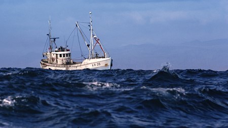 Virksomheder inden for fiskeriet bør samarbejde mere og i højere grad se hinanden som kolleger end konkurrenter, mente flere aktører til fiskeridebat. 