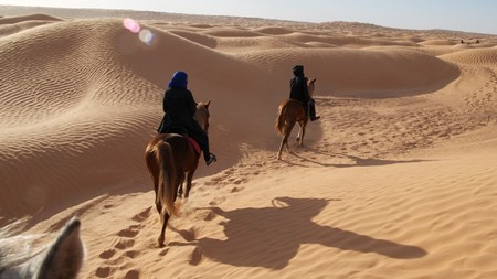 Genlæs debatten om Det Arabiske Intiativ