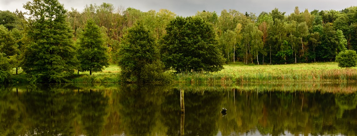 Esrum sø er et af de store naturområder i nationalpark-forslaget.