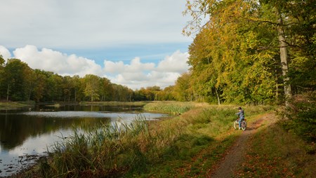 Forslaget om Kongernes Nordsjælland tager udgangspunkt i områderne Gribskov, Esrum Sø, Arresø og Tisvilde Hegn.