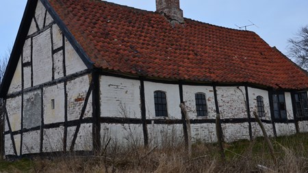 Hvordan øges udviklingen i udkantsområderne?