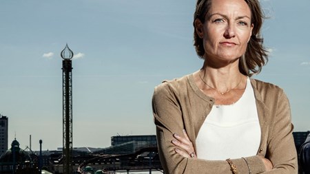 Ifølge branchedirektør for DI Rådgiverne, Henriette Søltoft, vælger mange konsulent- og rådgivningsvirksomheder offentlige kunder fra, fordi de synes det er for dyrt at byde på opgaverne. 