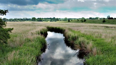 Naturfredningsforening klager til EU over landbrugspakke