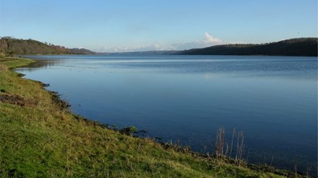 Hvis vi bruger fjordene som hjælper i den målrettede regulering, vil det give et bedre havmiljø og på sigt bedre rammevilkår og en langt større indtjening for landbruget, skriver Stiig Markager, professor ved Aarhus Universitet.