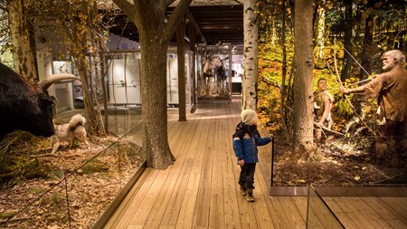 Dansk Jagt- og Skovbrugsmuseum topper listen over de dyreste udflytninger i skønnede omkostninger målt pr årsværk.