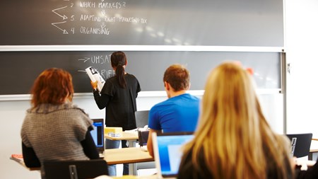 Etablering af Junior Business Colleges er et forslag til at komme et ufleksibelt uddannelsessystem til livs. 