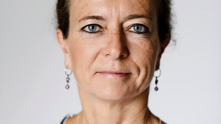 Hvis de nye verdensmål skal blive en succes, kræver større indsigt i hvordan de bedst realiseres. Her har danske uddannelsesinstitutioner en unik position til at bidrage, mener lektor og institutleder Helle Samuelsen.