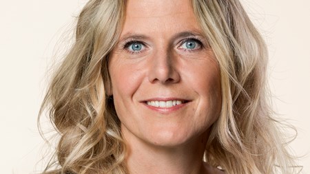 SF: Vi har brug for en civilsamfundsstrategi