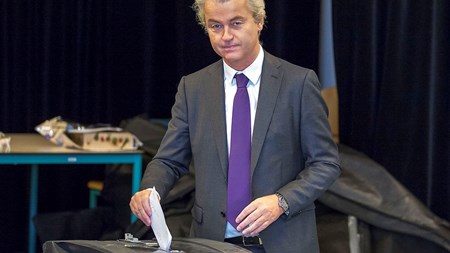 Geert Wilders fra det hollandske Frihedsparti var én af de få partiledere, der støttede et nej ved folkeafstemningen i Holland. Det samme gjorde Socialistpartiet og Partiet for dyrenes rettigheder.