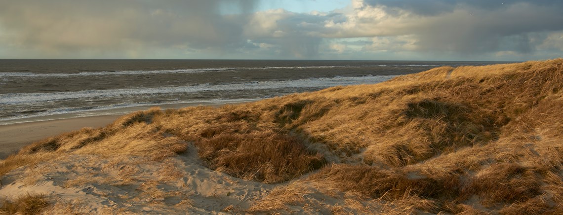 Med den nye planlov ønsker regeringen blandt andet at afskaffe kystbeskyttelseszonen,
lempe reglerne for landzonen og strandbeskyttelseslinjen.  