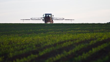 Forsker: Landbrug og skovbrug må vige for naturen