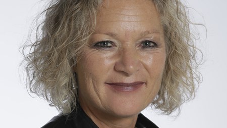 I samarbejdet mellem tandplejere og andre sundhedsprofessionelle skal der mere fokus på forebyggelse og sundhedsfremme frem for kun behandling, mener Elisabeth Gregersen, formand for Dansk Tandplejerforening.