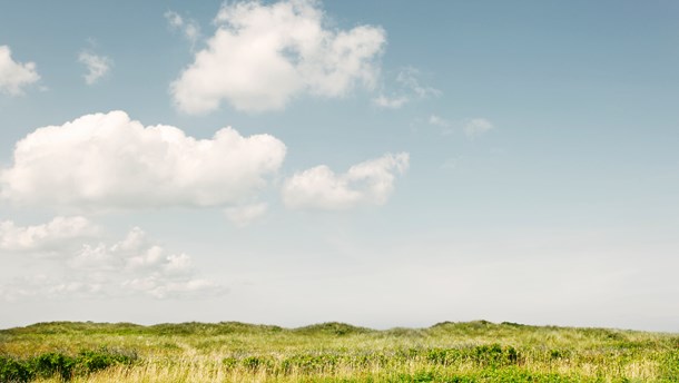 Natur: Grøn frygt for Danmarks EU-kurs