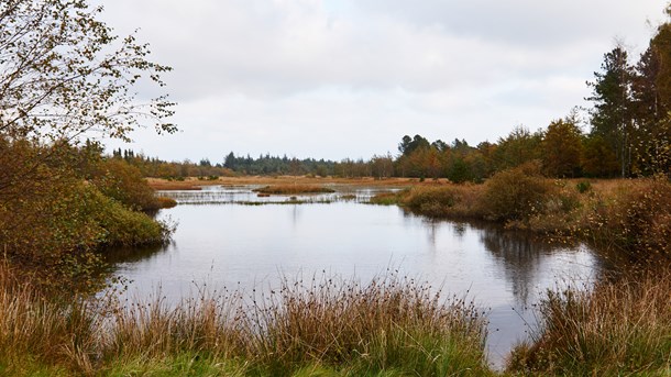 Længe ventet registrering af natur er i mål