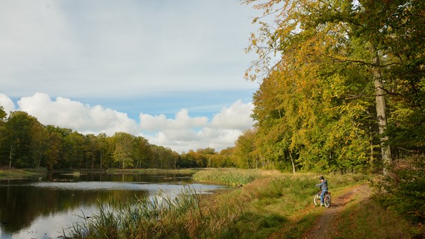 Danmark får ny nationalpark