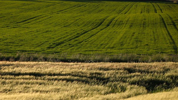 Naturbeskyttelse.dk: Får landbrugets kamp mod naturen en ende?